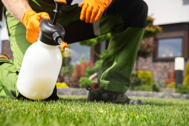 Best Residential Pest Control  in Falling Water, TN